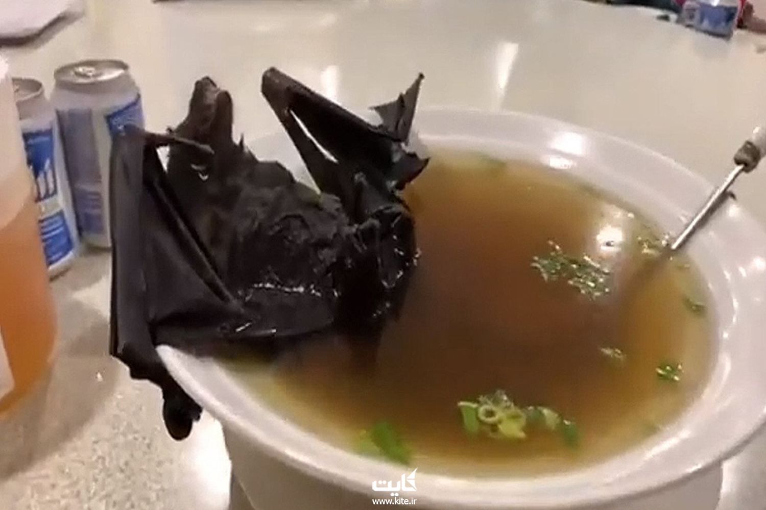 سوپ خفاش 